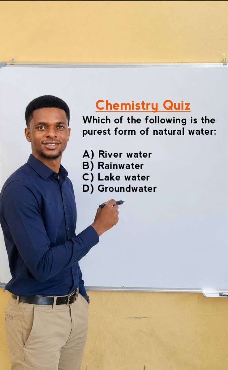 Tutor Chi S. Amaukwu, flyer 3 of 4